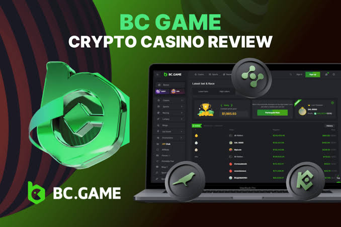 Discovering BC.Game Casino A New Era in Online Gaming Discovering BC.Game Casino A New Era in Online Gaming